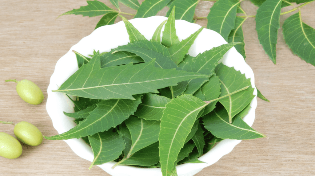 Neem