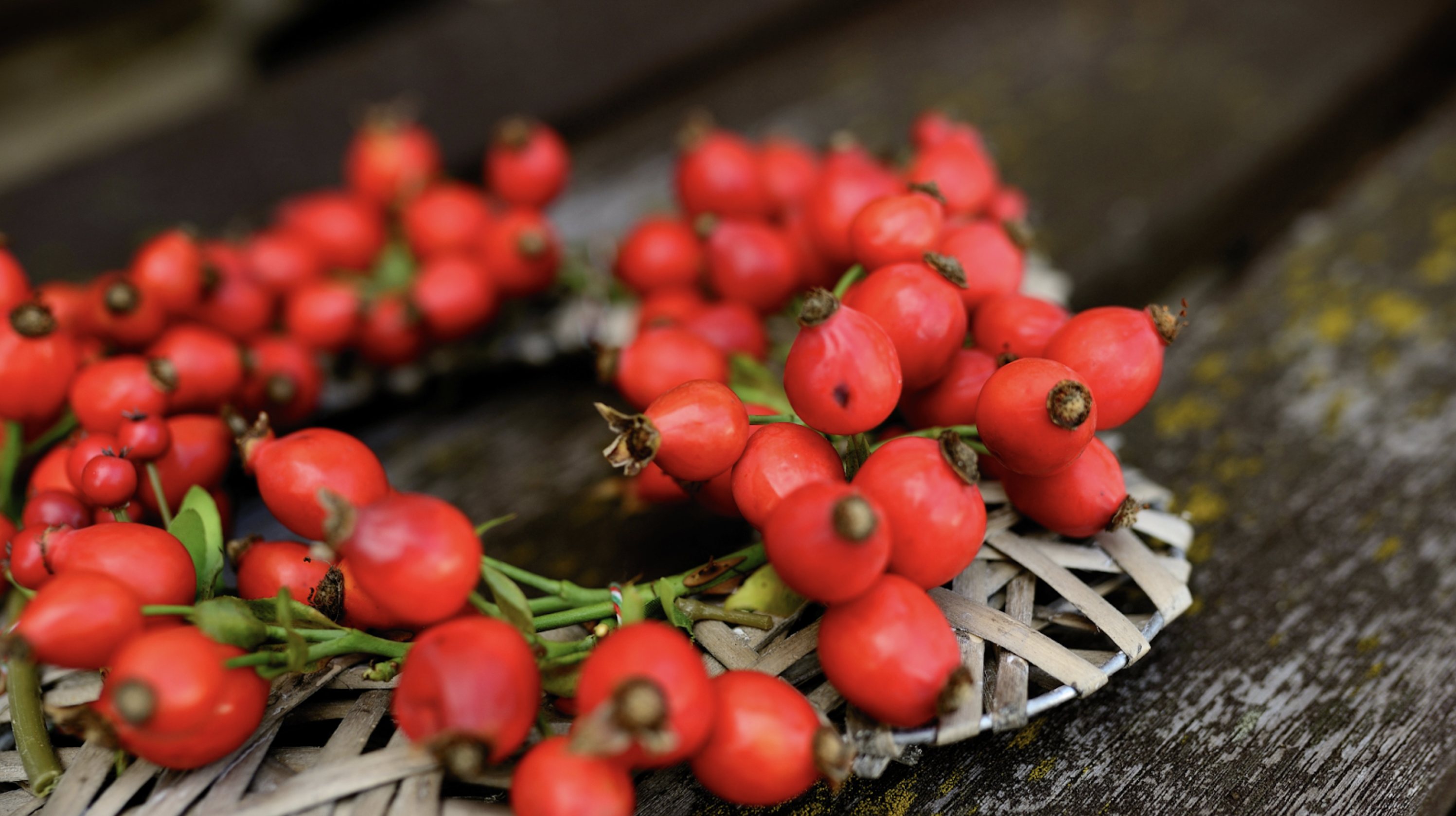 Rosehip: Nature’s Miracle for Healthy, Beautiful Skin