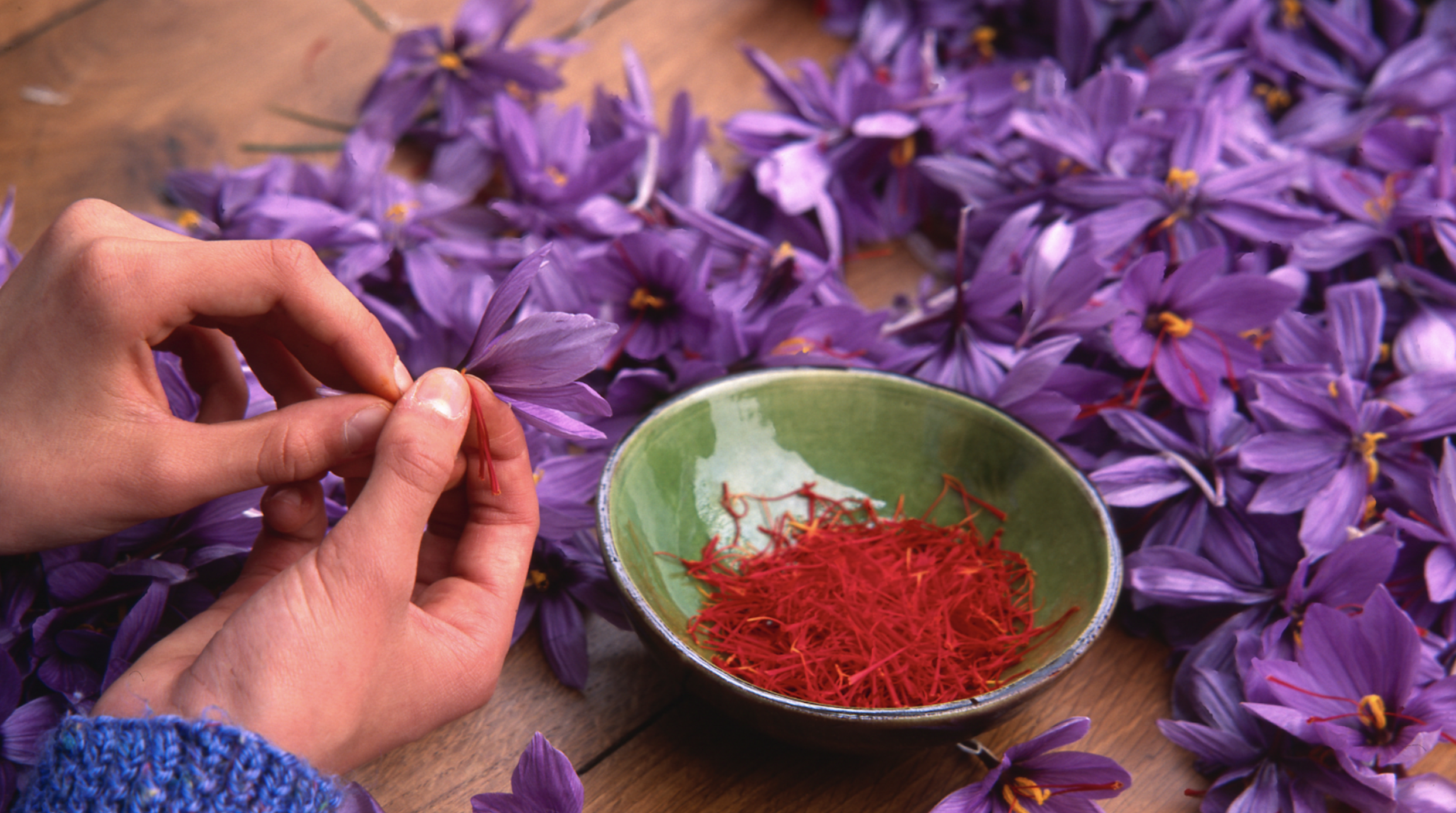 Saffron: The Ancient Remedy for Modern Skincare